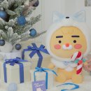 퍼플버블 이미지