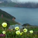 김재건 카카오 검색결과