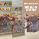 패러그린샵 동래점 이미지