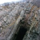 황금산뿌리