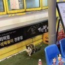 대전맛집찾기1/현정떡볶이/대전즉석떡볶이맛집