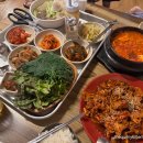 소나무불한증막 이미지