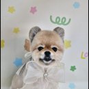 메리그루밍 이미지