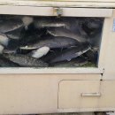 화탄매운탕 이미지