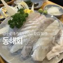 동해회 | 남구로역 직장인 단골 횟집 발견 동해회 방문기 반찬 10가지에 광어·우럭 가성비 실화?