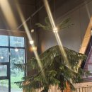 착한두부마을 | [양평] 메밀촌두부마을 내돈내산 후기(메밀촌정식,두부구이,비지나눔)