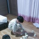 바다정원 이미지
