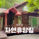 휴양림 통나무집 | 원주 치악산 자연휴양림 가족 여행 🌳 통나무집 고라니 숙소 후기