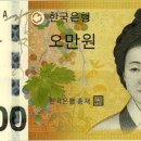 세로운 이미지