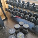 알짐 리커버리 이미지