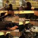 개야농장 이미지