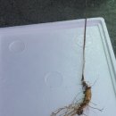 지리산천왕봉의집 이미지