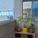 포키즈 어린이집 | [경주/감포] 미온수가 무료였던 '포키즈풀빌라' / 내돈내산 솔직후기