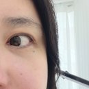 성신여대 속눈썹연장 | 래쉬바이브에서 완성한 '애니메래쉬', 아이돌 눈매의 정석 후기