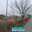 [국도21] 아산시 금산리