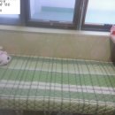 주식회사 더빌딩부동산중개법인 이미지