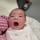 청화건강기능식품