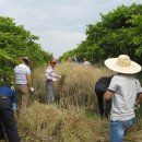 회진면사무소 이미지