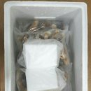 팔공산냉동