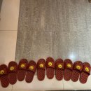 디나우스 이미지