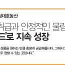 지케이유통 이미지