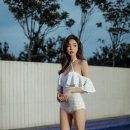 보배드림 이미지