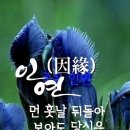 종이국밥