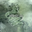 한국내시경 이미지