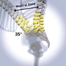 자세 개선 팔라테스 | 구미 옥계 산동 다리저림 팔저림 재활 전문 리바디볼 운동센터 ( 팔라테스 하다가 허리가 아파요!)