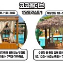 코코풀 이미지