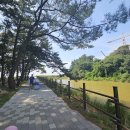 화성 아이와 가볼만한 곳 궁평유원지 나만 알고싶은 곳 송산포도축제