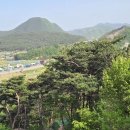 산청대명사 이미지