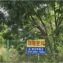 보령미래공인중개사사무소 | 서울 보령원룸, 당근 공인중개사와 함께라면 걱정 없어요!