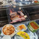 바위솔타운 이미지