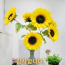 행운푸르지오공인중개사사무소 | 구리 갈매 푸르지오 아파트 34평 쾌적한 반전세 (월세) 아파트를 신내역 행운 부동산에서 안내합니다.