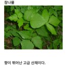 청옥민박 이미지