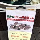 해운대 31Cm 해물칼국수 | [부산] 해운대 시장 맛집 | '해운대 31cm 해물칼국수' 해물이 가득! (내돈내산 해장 후기)