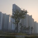 경기둘레길 시흥53코스 이미지