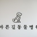 바른길동물병원 이미지