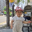 양천근린공원 키지트 네이버블로그