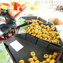 서촌농장 이미지