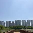 산책 | 가족들과 함께한 평택 배다리생태공원 산책 후기