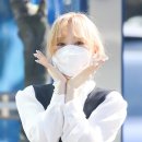 와니 이미지