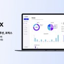 래티스(LATTICE) 이미지