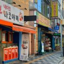 내다꼬 네이버블로그
