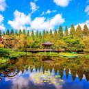 경상남도 수목원 이미지