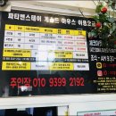 파티앤 이미지