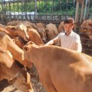 유전1농장 이미지