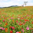 탄금공원 이미지