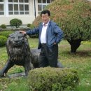 길안초등학교 Daum카페